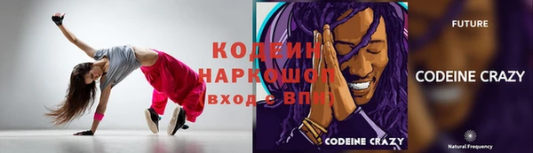 гидра Новозыбков